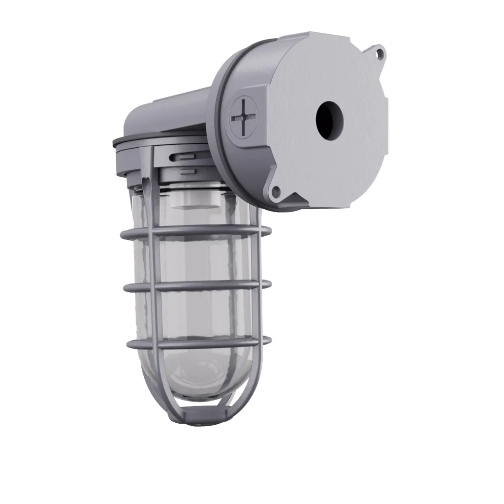 Lithonia VW150I M12 Outdoor Vaporproof Wall Mounted Light With Glass Globe For A19 Lamp 120 VAC Gray Housing